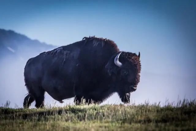 3.webp.jpg 3.webp.jpg